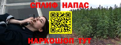 стафф Малоярославец